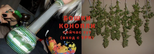 экстази Богданович